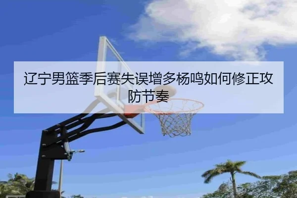 辽宁男篮季后赛失误增多杨鸣如何修正攻防节奏